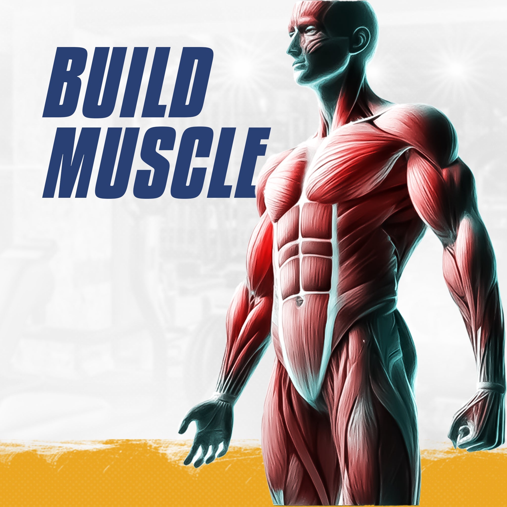 Lean muscle building supplements and fitness guide for athletes in UAE