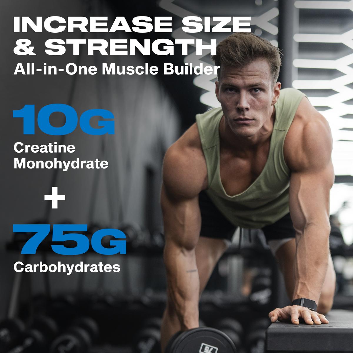 MuscleTech Cell-Tech Creatine fruit punch angled view highlighting creatine loading formula