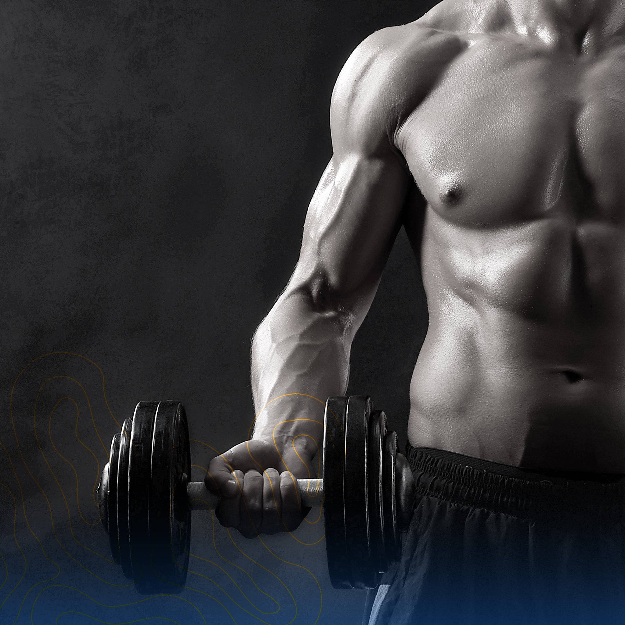 Build muscle with SupplMentor's goal-based supplement collections